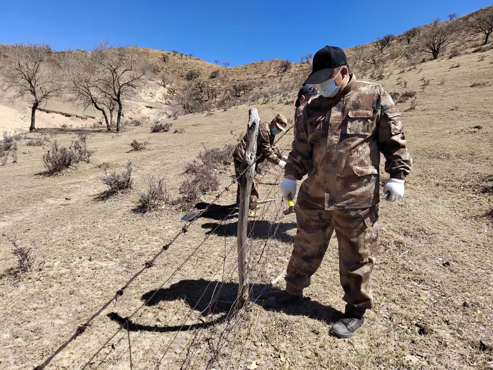 002 拷贝.jpg 002 拷贝.jpg